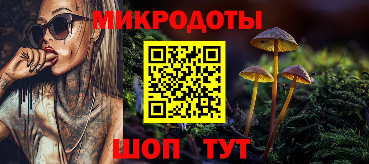 Северодвинск  Псилоцибиновые грибы мухоморы  Вход с VPN 